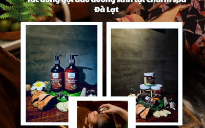 tác dụng gội đầu dưỡng sinh