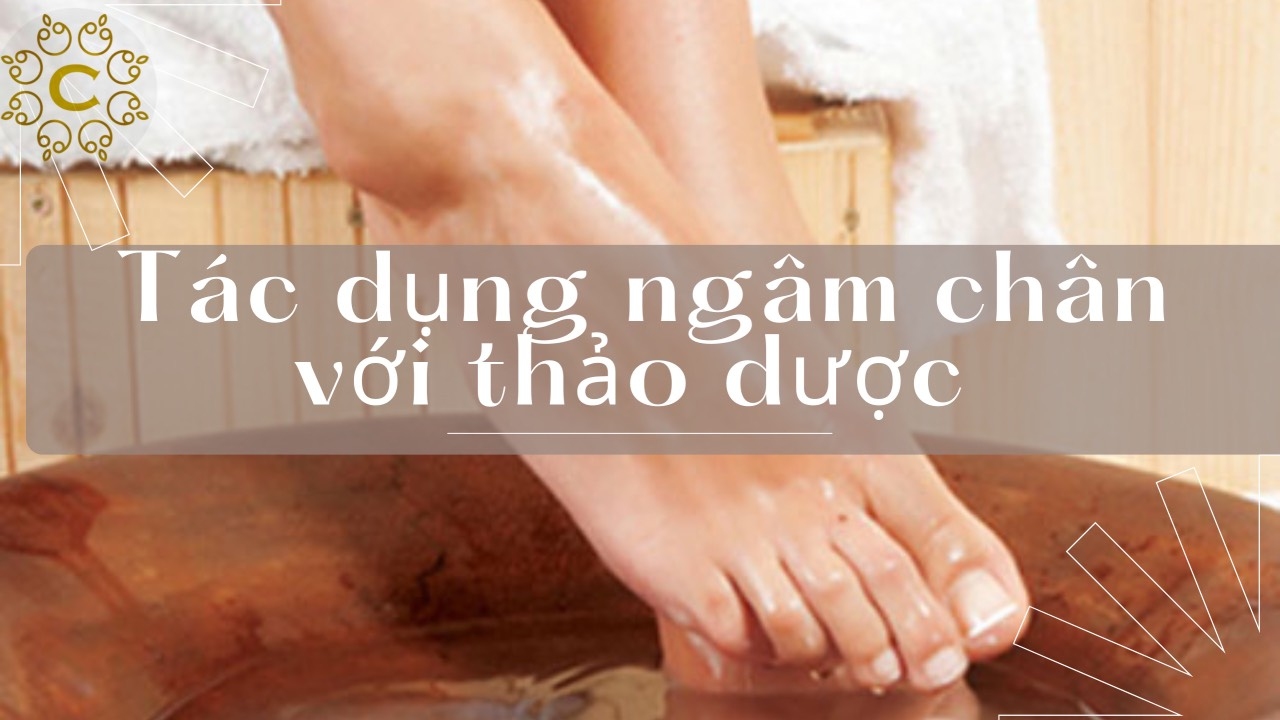 tác dụng ngâm chân thảo dược 1