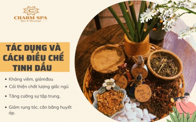 tác dụng và cách điều chế tinh dầu