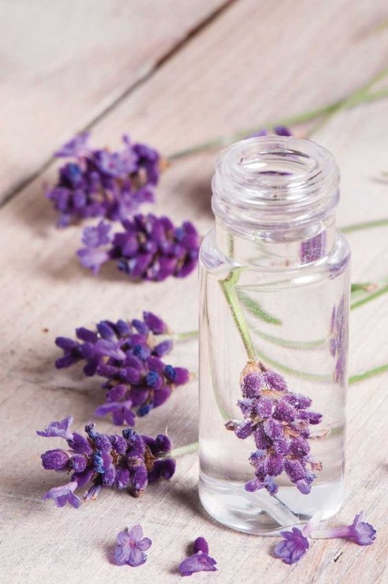 chăm sóc mi nhanh dài vời dầu oải hương tại charm spa nha trang