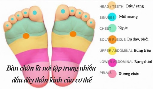 massage chân cho bé và những thông tin hữu ích