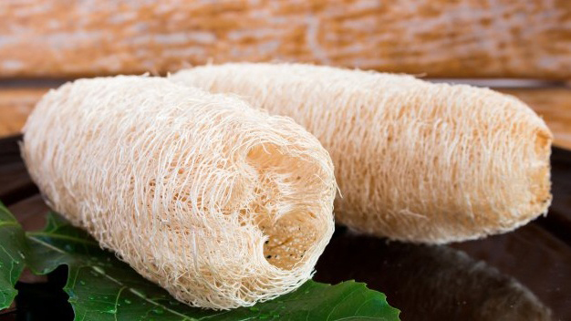 xơ mướp chữa mụn lưng